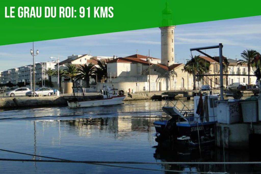 Le Pi-Gnotte - Wi-Fi - Centre Ville Avinyon Dış mekan fotoğraf